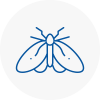 Moth Control Specialists In Exmouth